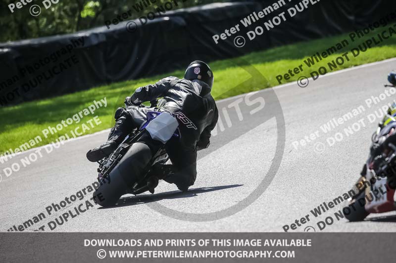 cadwell no limits trackday;cadwell park;cadwell park photographs;cadwell trackday photographs;enduro digital images;event digital images;eventdigitalimages;no limits trackdays;peter wileman photography;racing digital images;trackday digital images;trackday photos